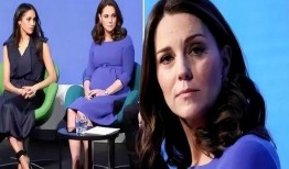 香港爆料凯特王妃视频在线观看,凯特王妃私密视频在线观看引发热议